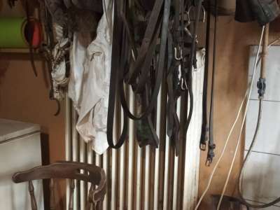 Eladó családi ház - Szolnok (Szandaszőlős) / 51. kép