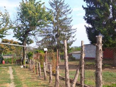 Eladó családi ház - Szolnok (Szandaszőlős) / 73. kép