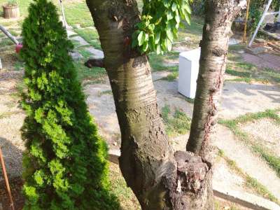 Eladó családi ház - Szolnok (Szandaszőlős) / 64. kép