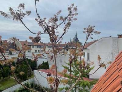 Eladó téglalakás - Szolnok (Belváros) / 34. kép