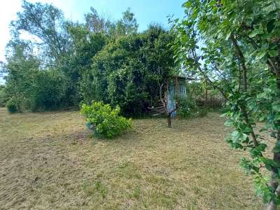 Eladó nyaraló - Tószeg / 8. kép