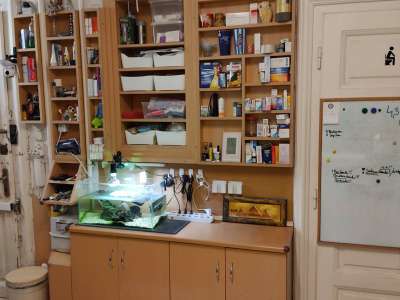 Eladó téglalakás - Budapest XIV. kerület (Törökőr) / 10. kép