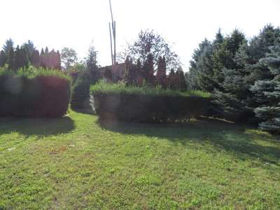 Eladó családi ház - Szolnok (Szandaszőlős) / 31. kép