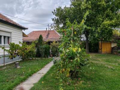 Eladó családi ház - Újszász / 24. kép
