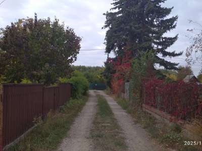 Eladó családi ház - Szolnok (Szandaszőlős) / 15. kép