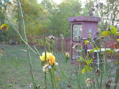 Eladó nyaraló - Cibakháza / 26. kép