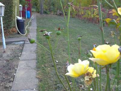 Eladó nyaraló - Cibakháza / 35. kép