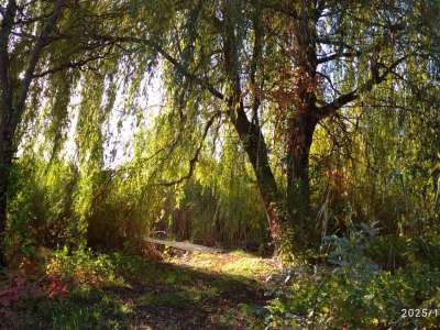 Eladó nyaraló - Cibakháza / 24. kép