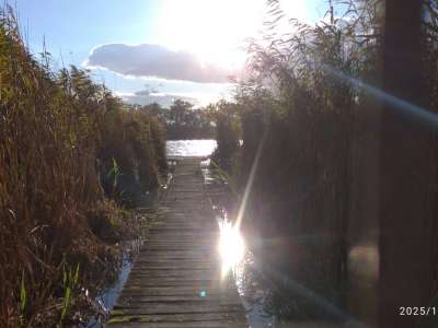 Eladó nyaraló - Cibakháza / 31. kép