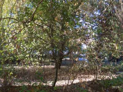 Eladó nyaraló - Cibakháza / 23. kép