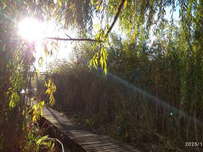 Eladó nyaraló - Cibakháza / 2. kép