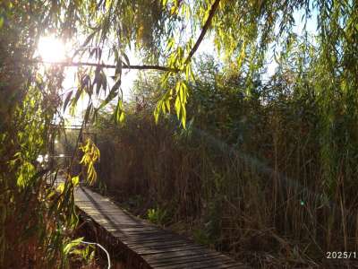 Eladó nyaraló - Cibakháza / 40. kép