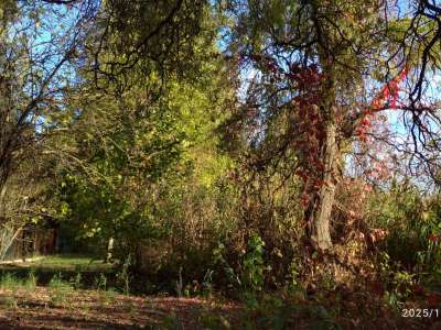 Eladó nyaraló - Cibakháza / 39. kép