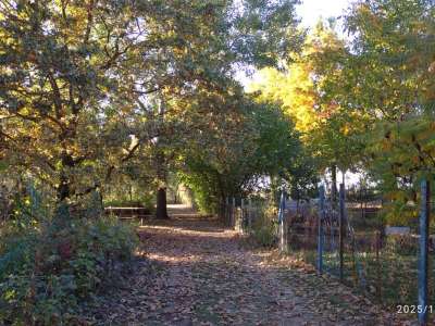 Eladó nyaraló - Cibakháza / 38. kép