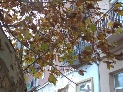 Eladó téglalakás - Szolnok (Belváros) / 7. kép