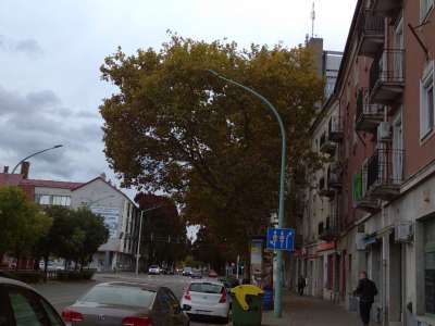 Eladó téglalakás - Szolnok (Belváros) / 22. kép