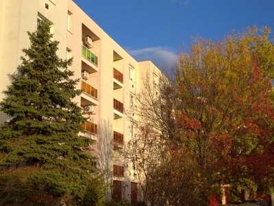 Kiadó téglalakás - Szolnok (Belváros) / 6. kép