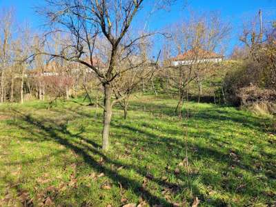 Eladó családi ház - Iklad / 15. kép