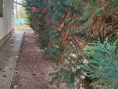 Eladó családi ház - Szolnok (Tenyősziget) / 11. kép