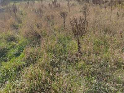 Eladó építési telek - Nagykáta / 4. kép