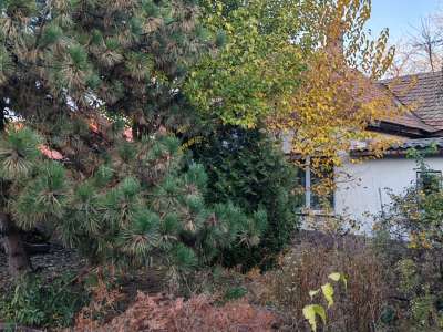 Eladó családi ház - Szolnok (Kórház környéke) / 27. kép