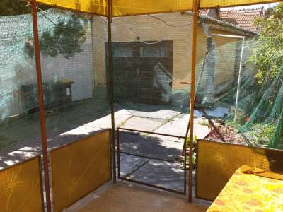 Eladó családi ház - Szolnok (Kórház környéke) / 19. kép