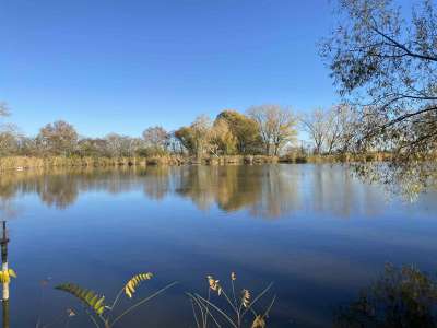 Eladó nyaraló - Szajol (Újtelep) / 17. kép