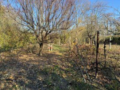 Eladó nyaraló - Szajol (Újtelep) / 9. kép