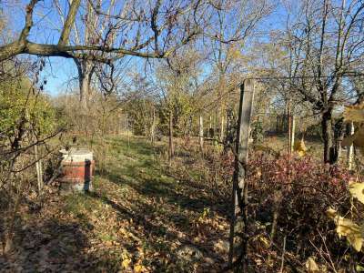 Eladó nyaraló - Szajol (Újtelep) / 13. kép