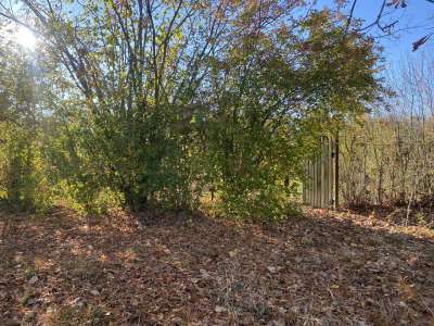 Eladó nyaraló - Szajol (Újtelep) / 12. kép