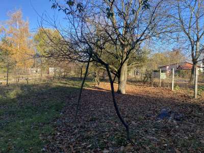 Eladó nyaraló - Szajol (Újtelep) / 11. kép