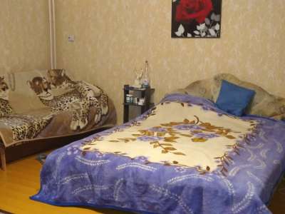 Eladó családi ház - Tiszaföldvár (Tiszaföldvár) / 16. kép