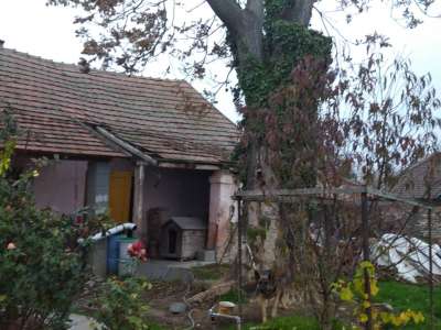 Eladó családi ház - Tiszaföldvár (Tiszaföldvár) / 13. kép