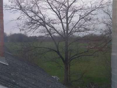 Eladó családi ház - Tiszaföldvár / 29. kép