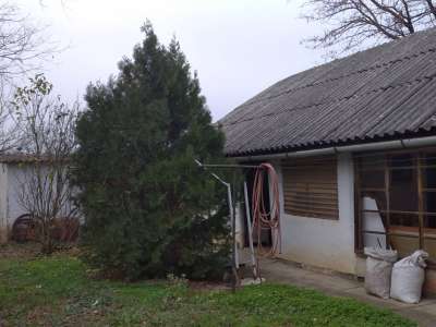 Eladó családi ház - Tiszaföldvár / 18. kép