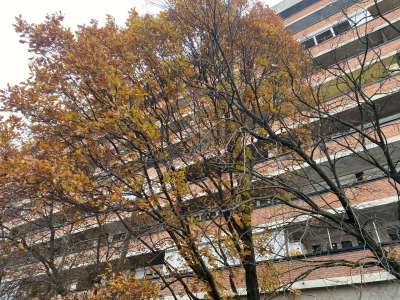 Eladó téglalakás - Szolnok (Vasútállomás környéke) / 1. kép