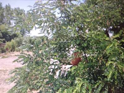 Eladó építési telek - Tiszaföldvár / 3. kép