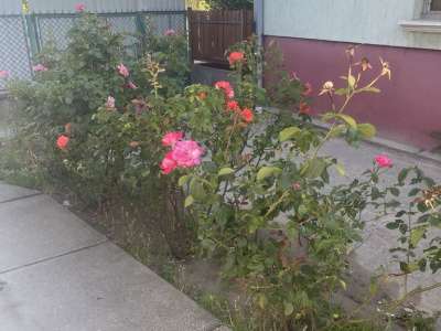 Eladó családi ház - Tápiószentmárton / 13. kép