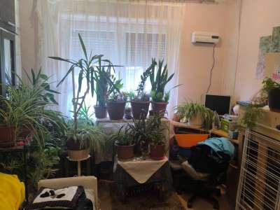 Eladó családi ház - Tiszaföldvár (Tiszaföldvár) / 4. kép