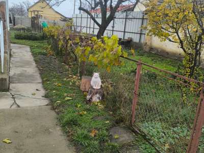 Eladó családi ház - Tiszaföldvár (Tiszaföldvár) / 15. kép