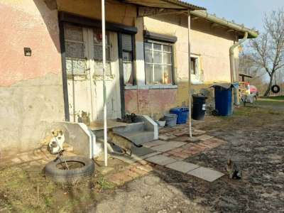 Eladó családi ház - Farmos / 2. kép