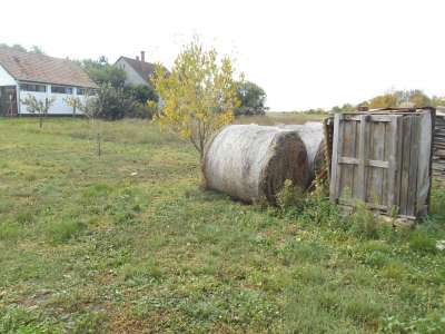 Eladó tanya - Besenyszög / 23. kép