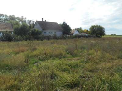 Eladó tanya - Besenyszög / 24. kép