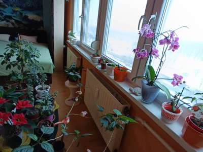 Eladó panellakás - Szolnok (Belváros) / 12. kép