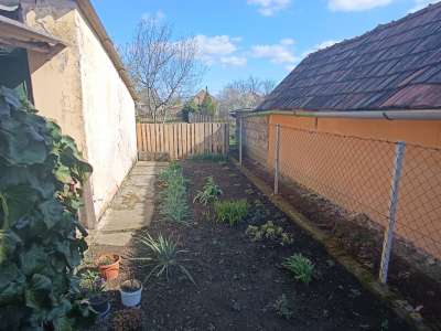 Eladó családi ház - Zagyvarékas / 20. kép