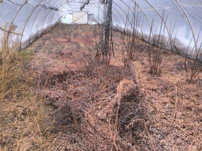 Eladó családi ház - Tiszaföldvár (Tiszaföldvár) / 25. kép