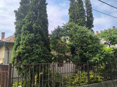 Eladó családi ház - Tiszaföldvár (Tiszaföldvár) / 27. kép
