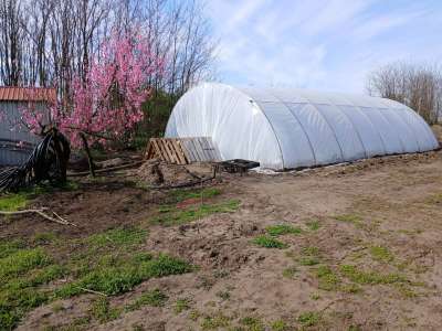 Eladó családi ház - Tiszaföldvár (Tiszaföldvár) / 13. kép