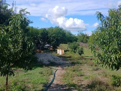 Eladó családi ház - Tiszaföldvár (Tiszaföldvár) / 16. kép