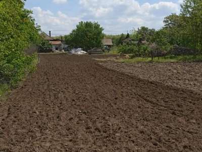 Eladó családi ház - Tiszaföldvár (Tiszaföldvár) / 15. kép